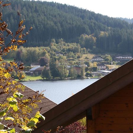 Chalet Vosgien Gerardmer Ngoại thất bức ảnh