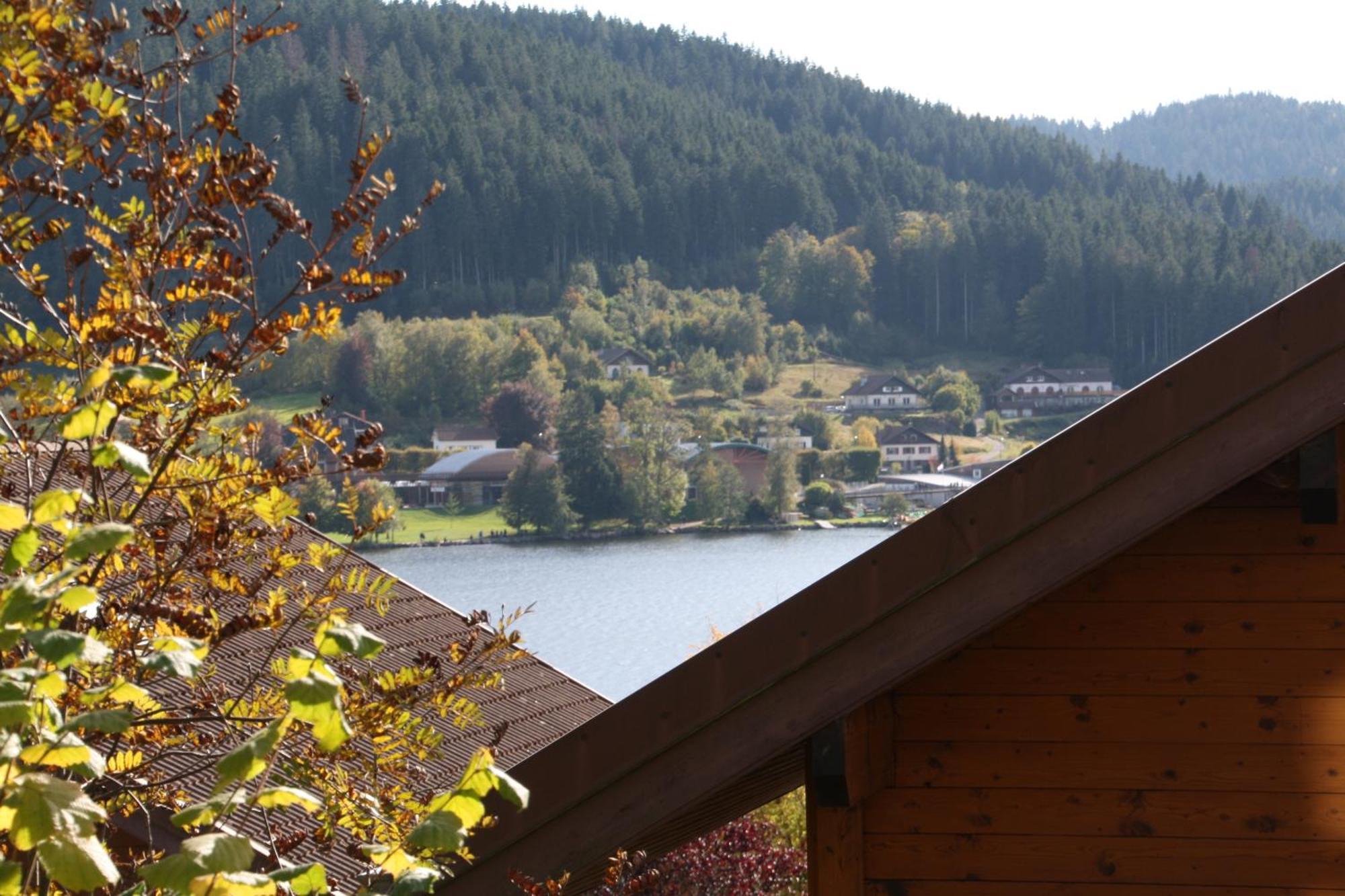 Chalet Vosgien Gerardmer Ngoại thất bức ảnh